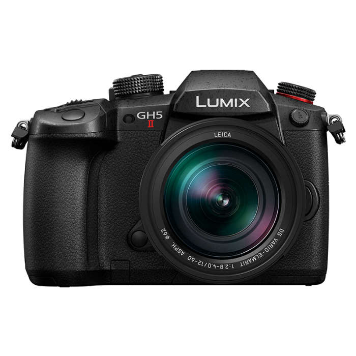 Panasonic Lumix GH5M2 + Leica ES12-60/ 3.5-5.6_01