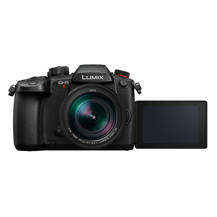 Panasonic Lumix GH5M2 + Leica ES12-60/ 3.5-5.6_05