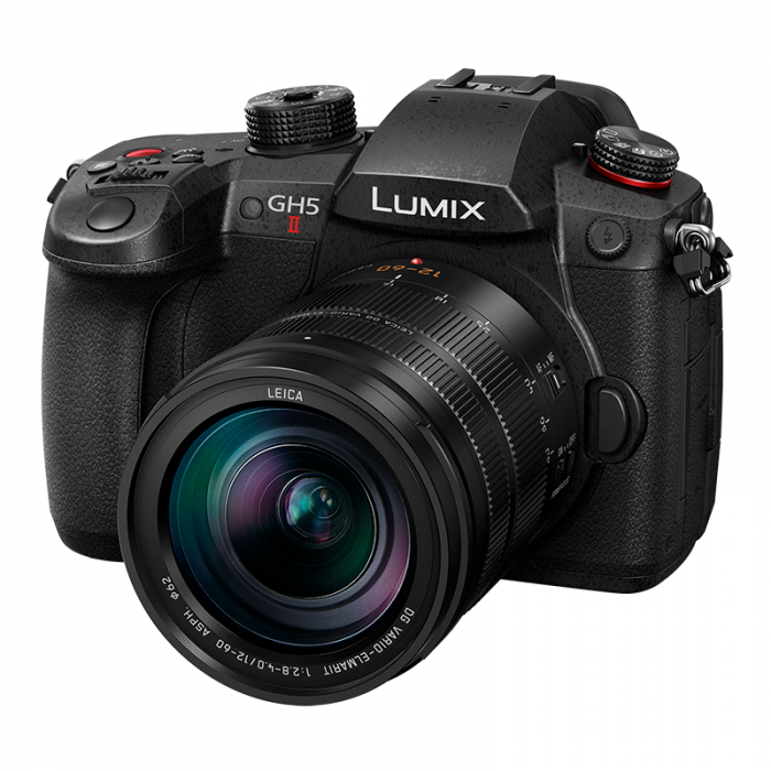Panasonic Lumix GH5M2 + Leica ES12-60/ 3.5-5.6_06