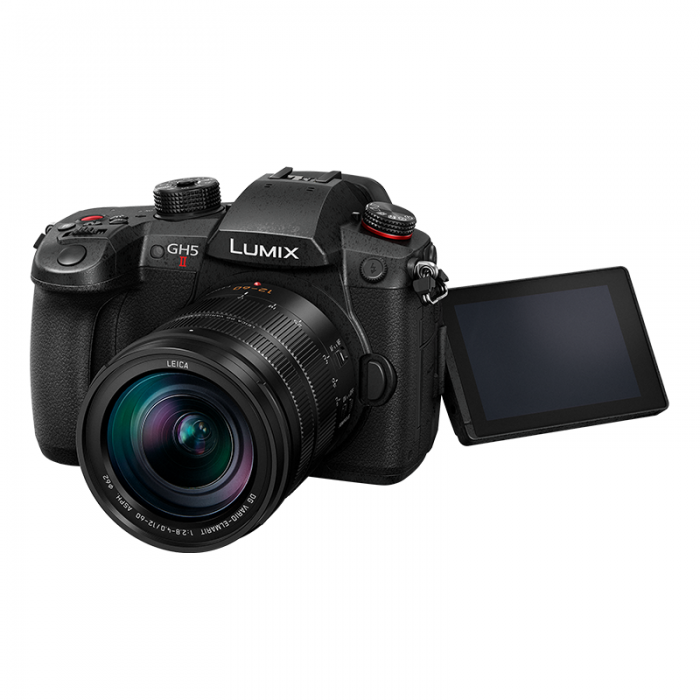 Panasonic Lumix GH5M2 + Leica ES12-60/ 3.5-5.6_07